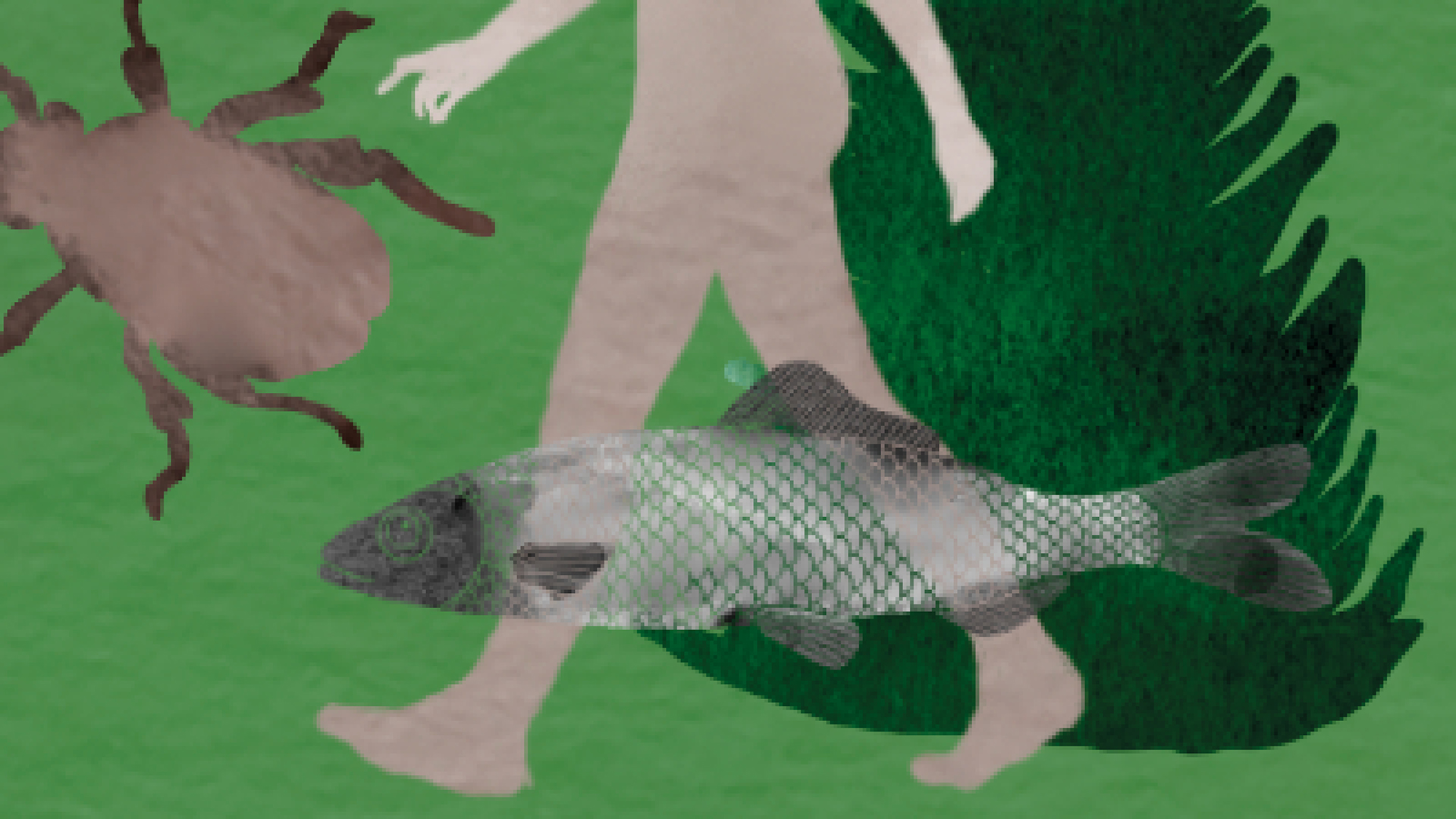 Ingen beskrivning tillgänglig