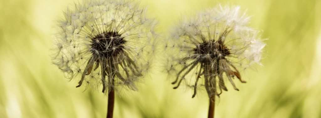 Ingen beskrivning tillgänglig