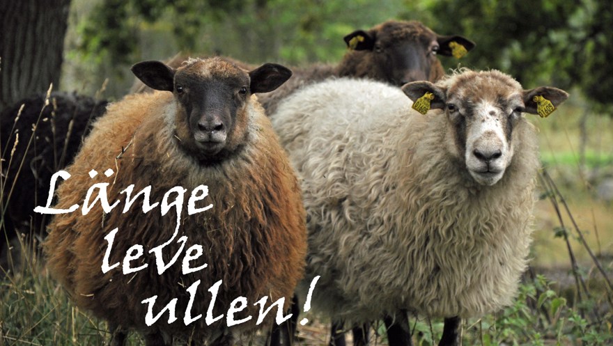 Texten länge leve ullen framför en bild på tre får i en hage