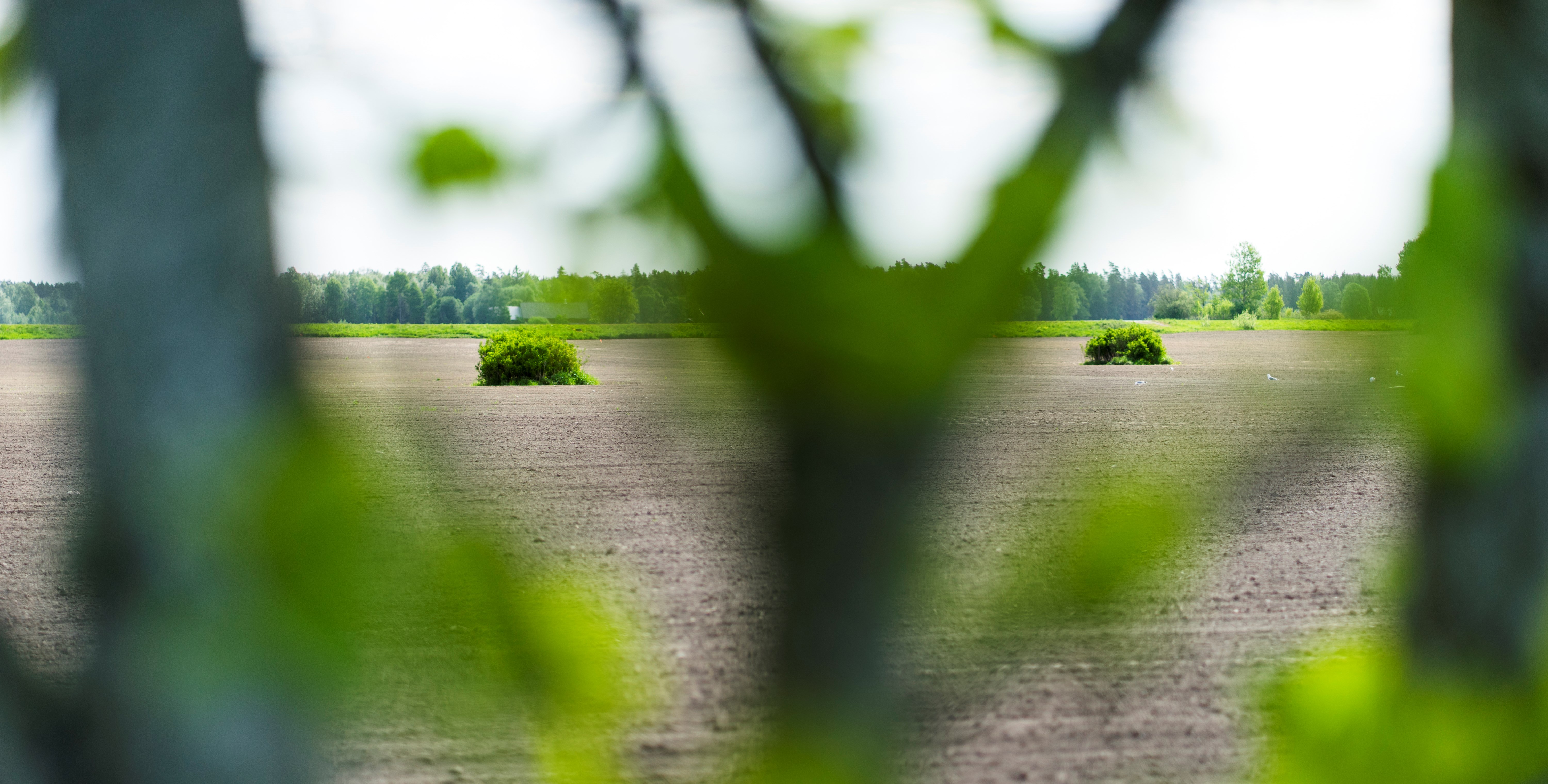 Ingen beskrivning tillgänglig